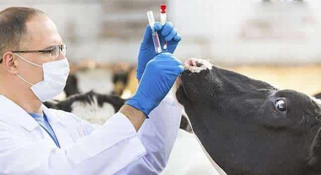 Establecen día para reconocer a profesionales de veterinaria, zootecnia y acuicultura