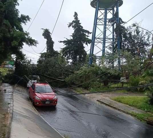 URGENTE | Fuerte lluvia derriba siete árboles en zona 5 de Mixco