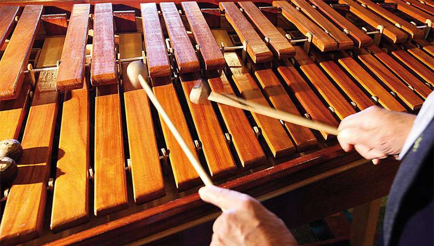 ¿Conoce la música en marimba solista y percusión?… Habrá un concierto económico