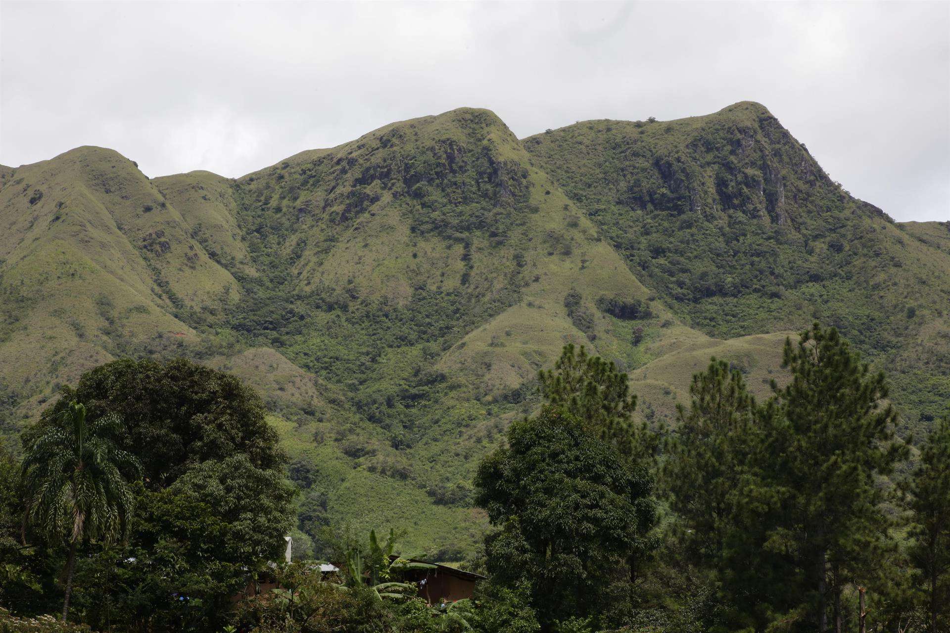 Reforestación Panamá