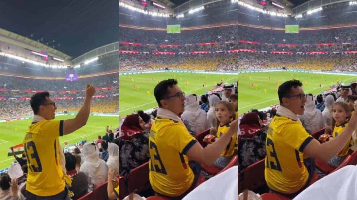 aficionado ecuador qatar