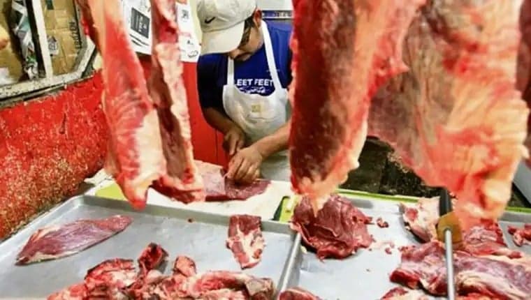 carne de res