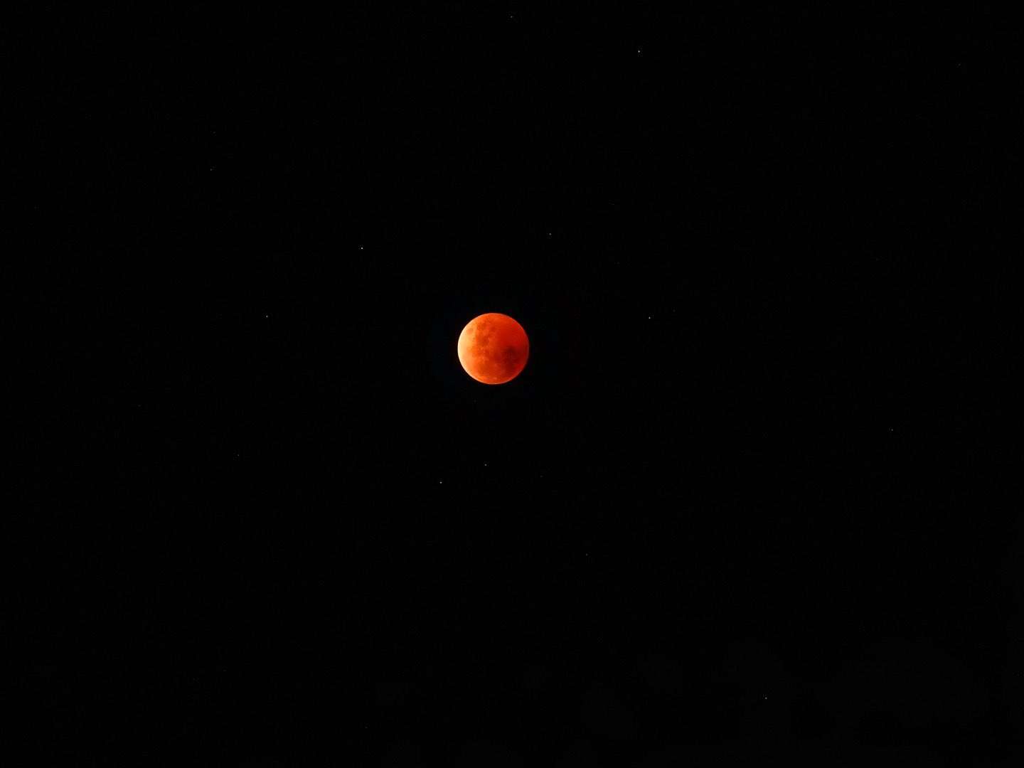 eclipse lunar 8 de noviembre