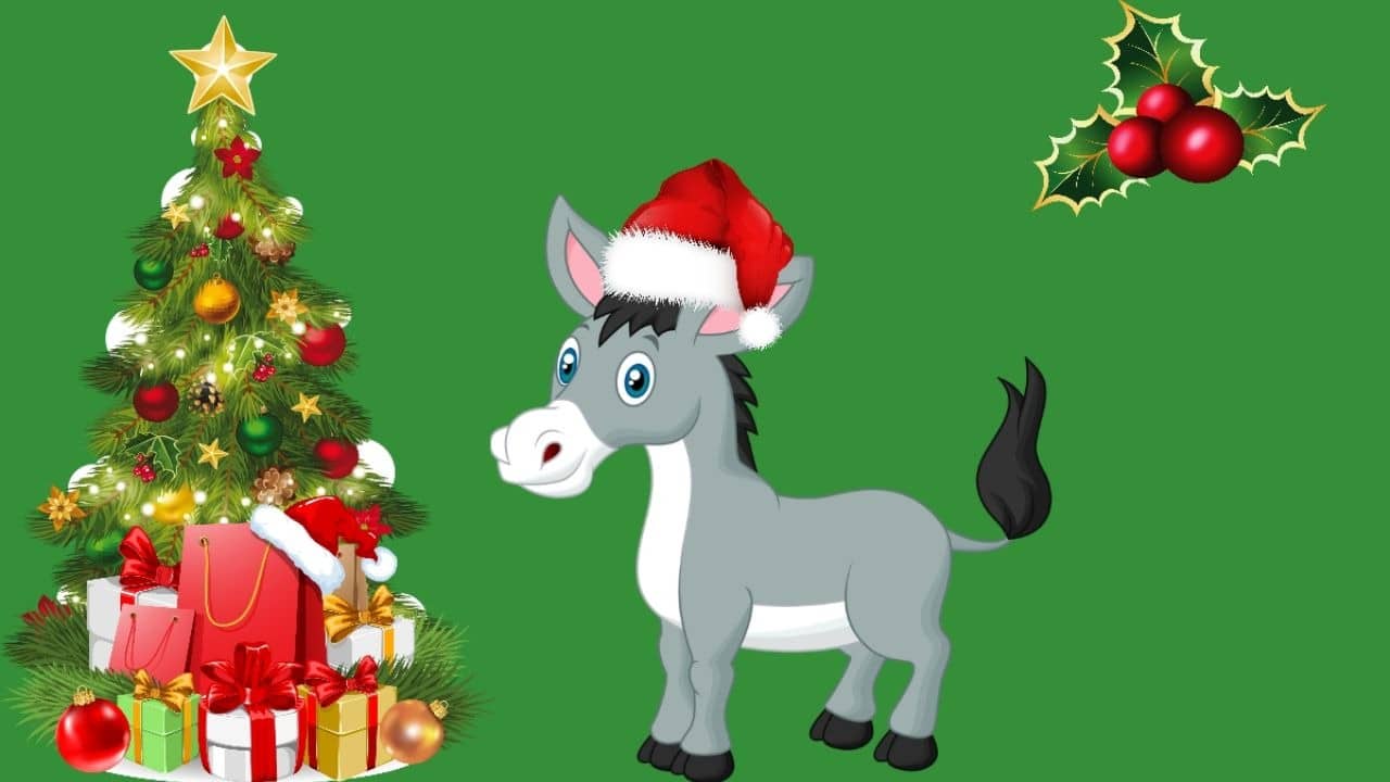 Burro navidad