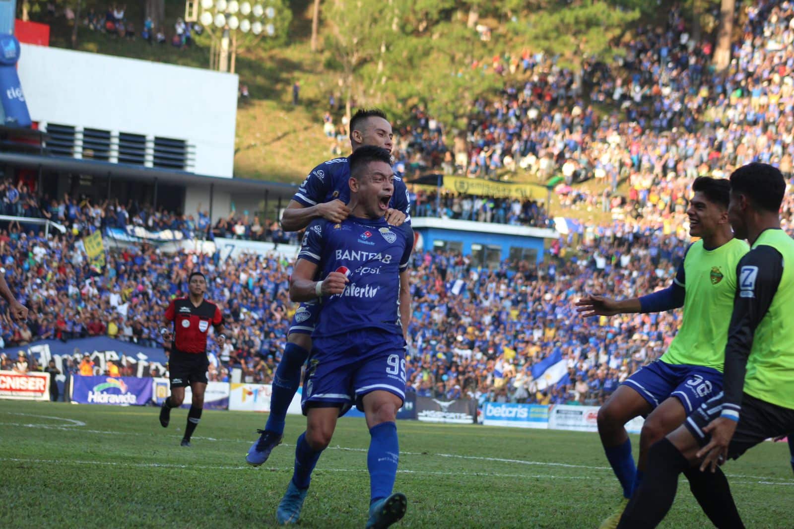 Cobán Imperial Robin