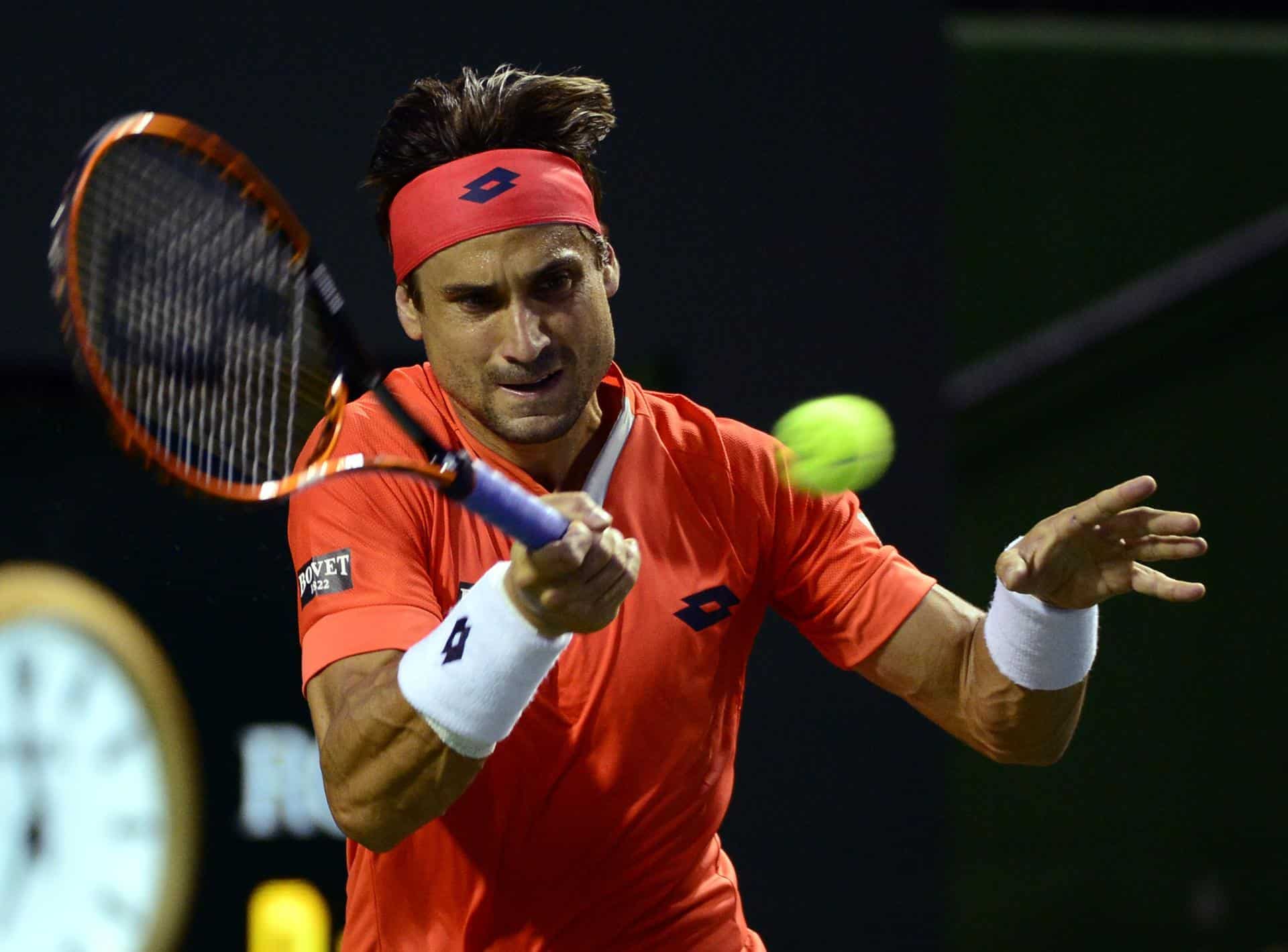 David Ferrer