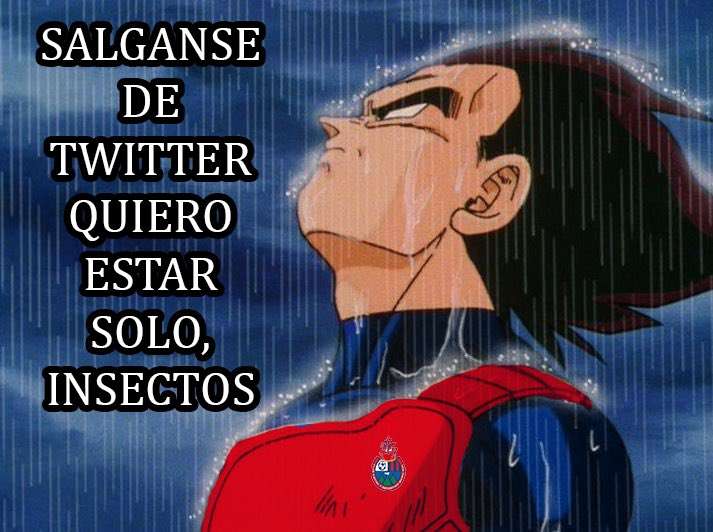 Municipal Aficionados memes