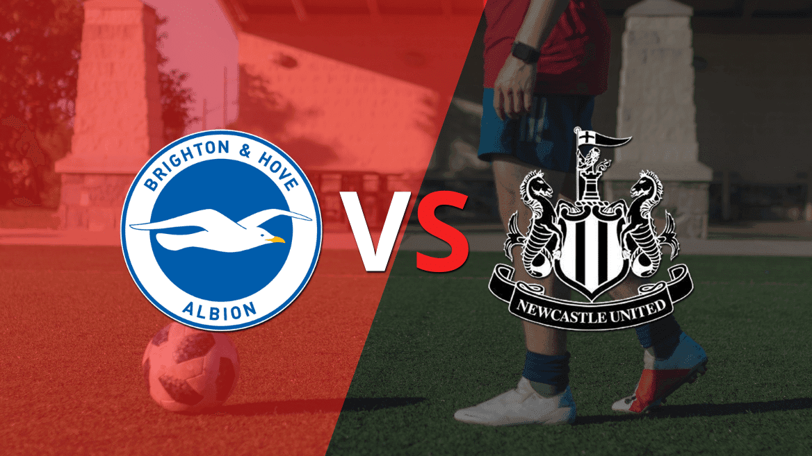 Newcastle United logra el descuento frente a Brighton and Hove