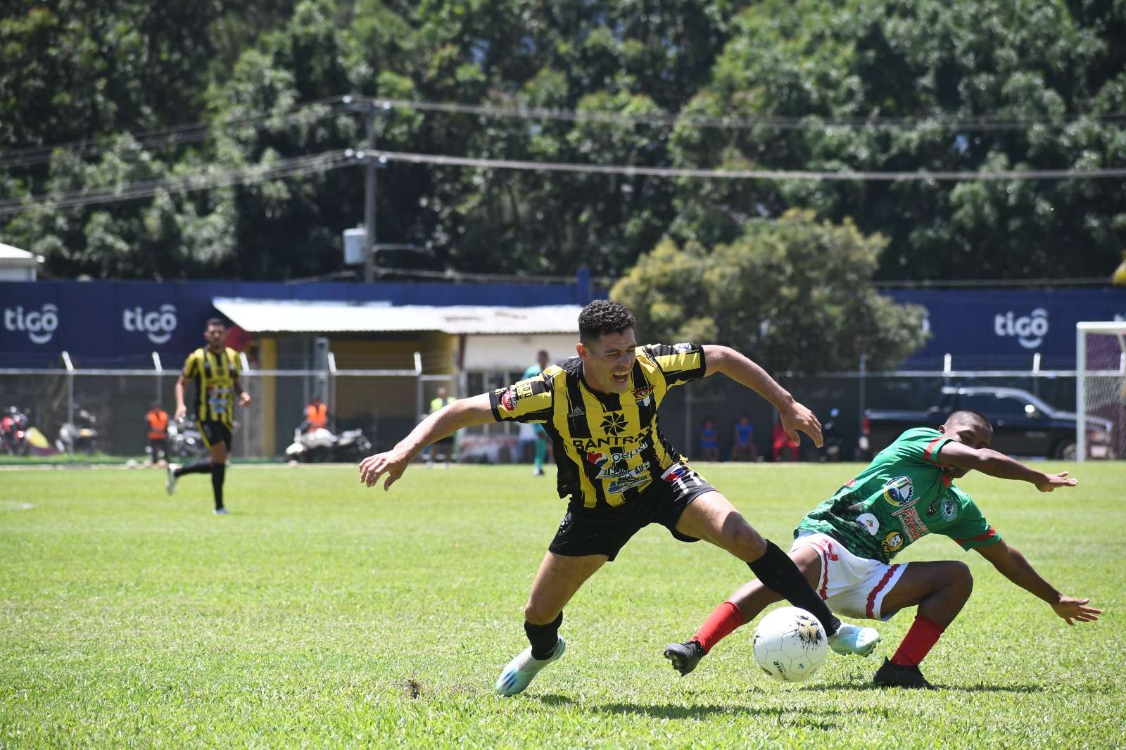 Aurora FC Fraijanes Apertura Primera División