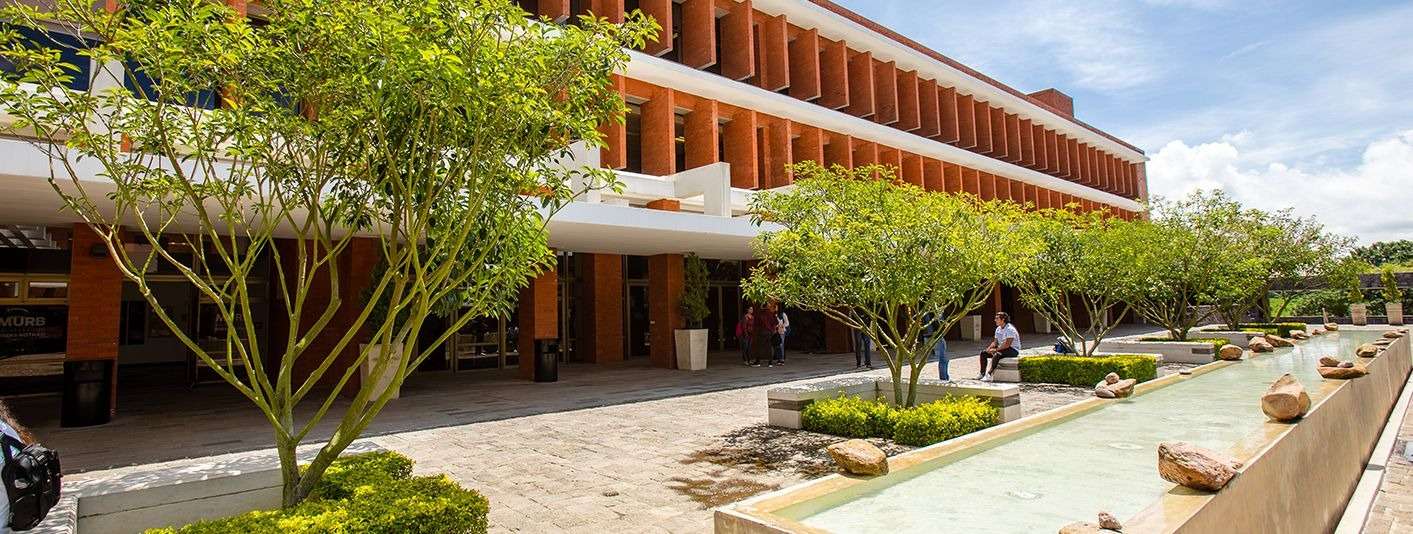 Universidad del Istmo anuncia que sus actividades serán virtuales hasta nuevo aviso