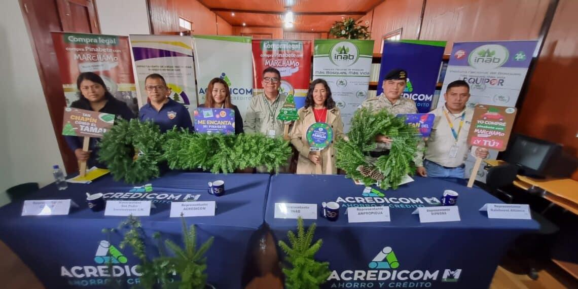 protección del pinabete