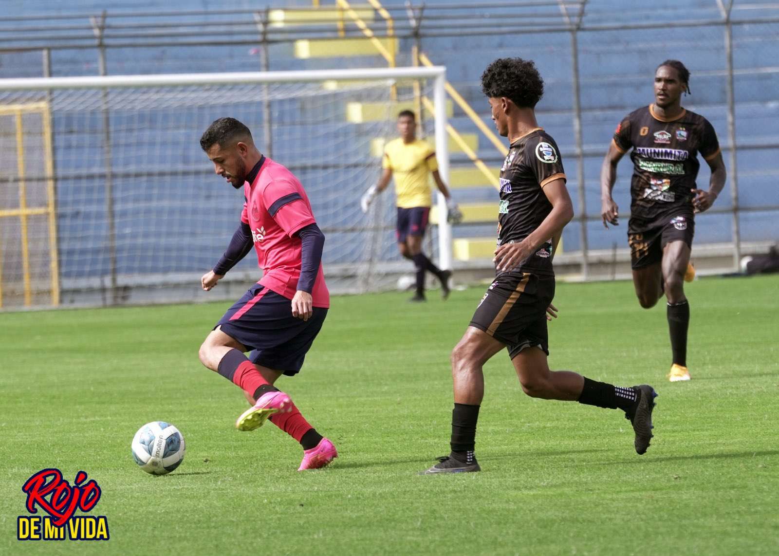 ¿Cuál sería la probable alineación de Municipal para el 2024?