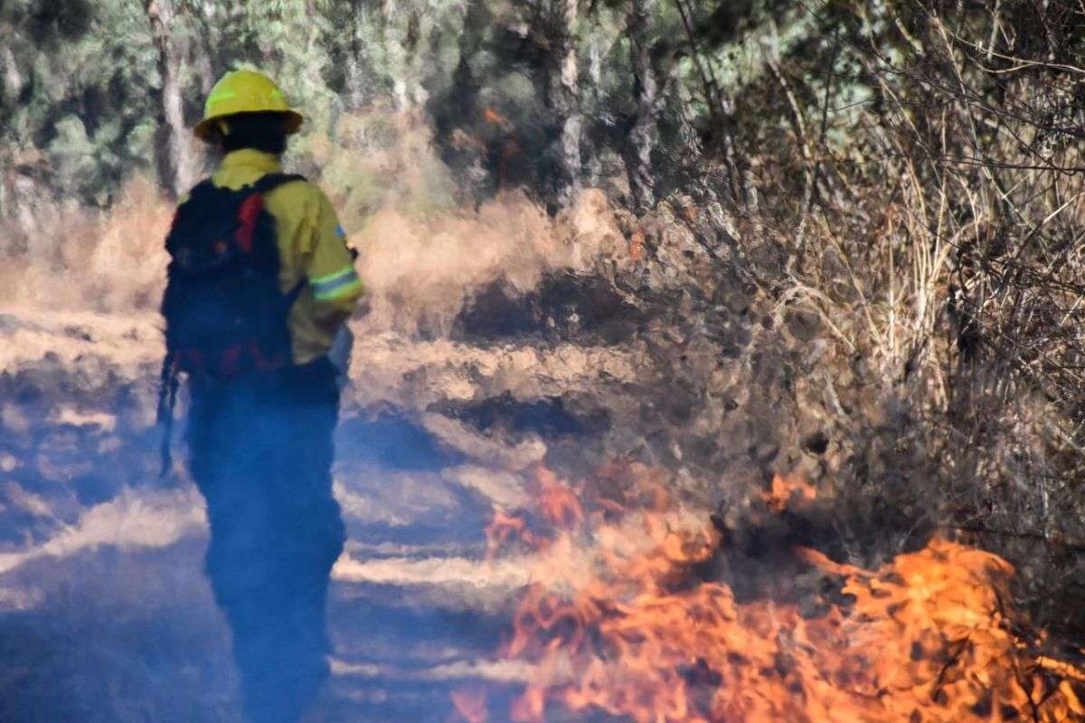 Inició la socialización de acciones en prevención de incendios forestales en Petén ¿Cómo se realiza?