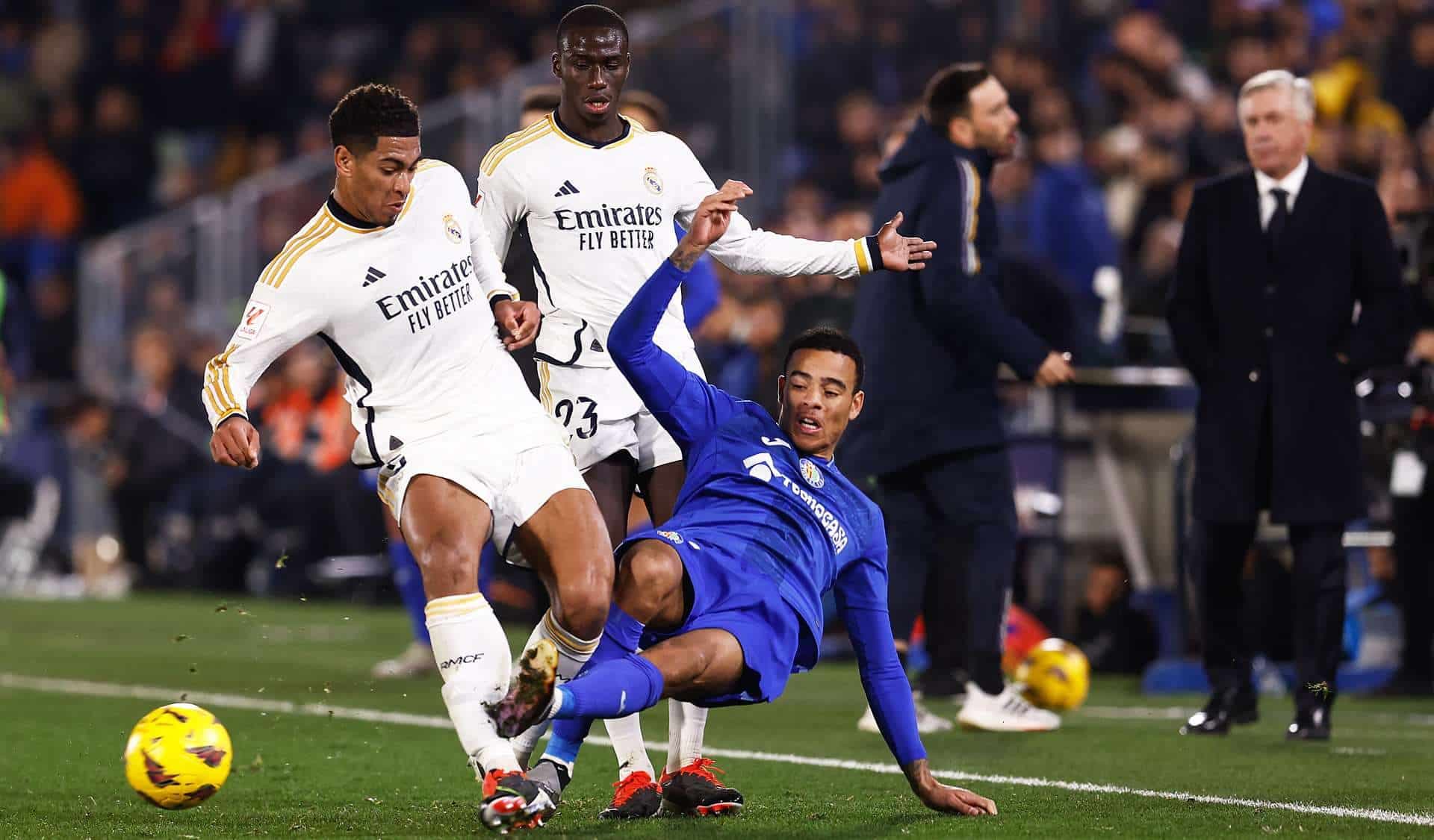 Bellingham greenwood