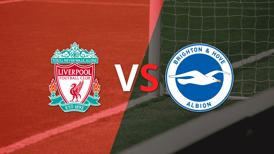Liverpool vs Brighton