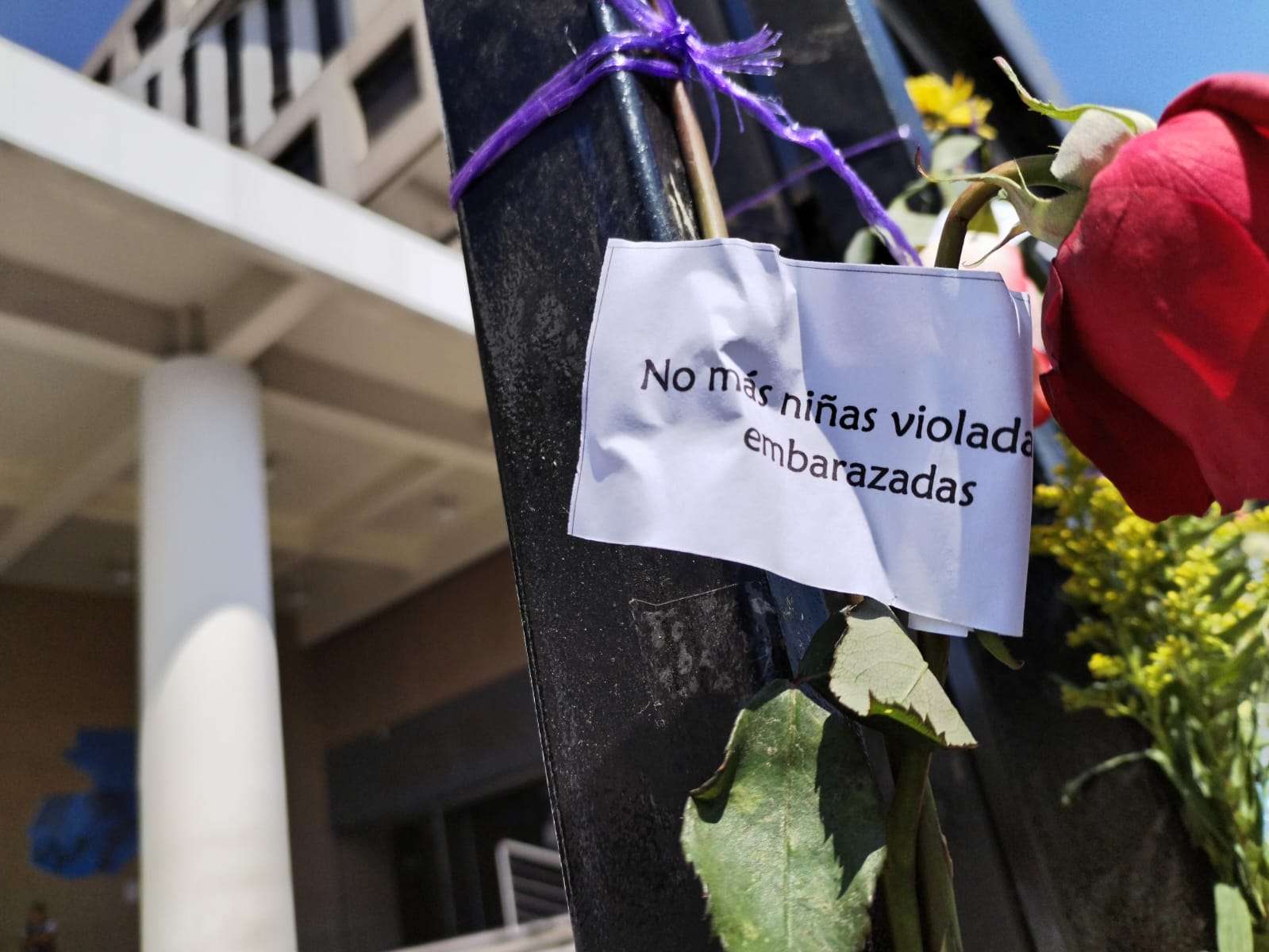 EN FOTOS | Agrupaciones conmemoran el Día Internacional de la Mujer