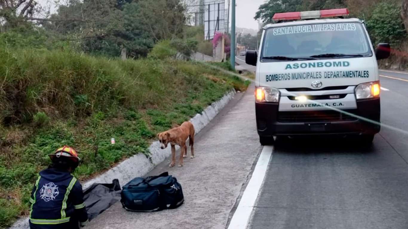 cadáver Kilómetro 36 Bajada Las Cañas