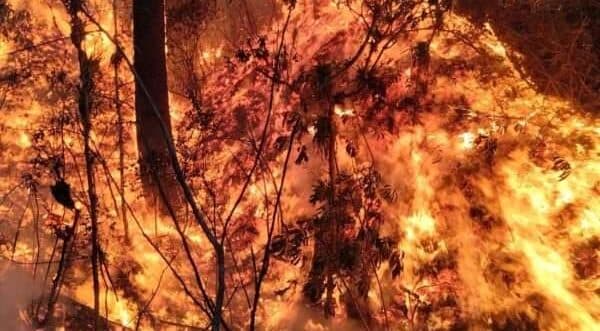 Incendios Forestales Conred