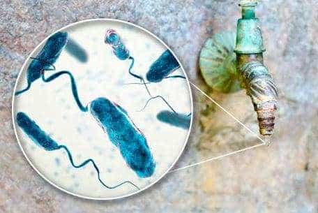 Guatemala en alerta por brote de cólera en países de Latinoamérica