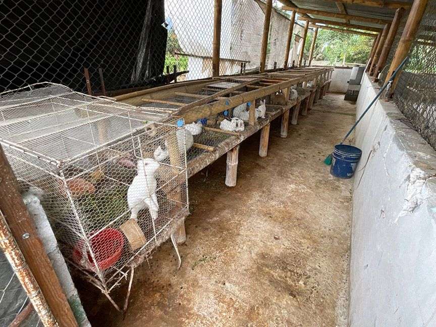 Sectores agrícola y pecuario en alerta: Recomendaciones para mitigar el impacto de la lluvia