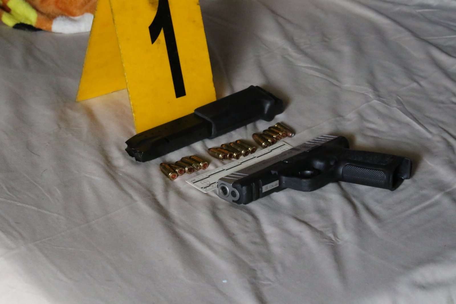 Operativo liderado por Fiscalía contra el Delito de Femicidio resulta en múltiples aprehensiones y decomisos