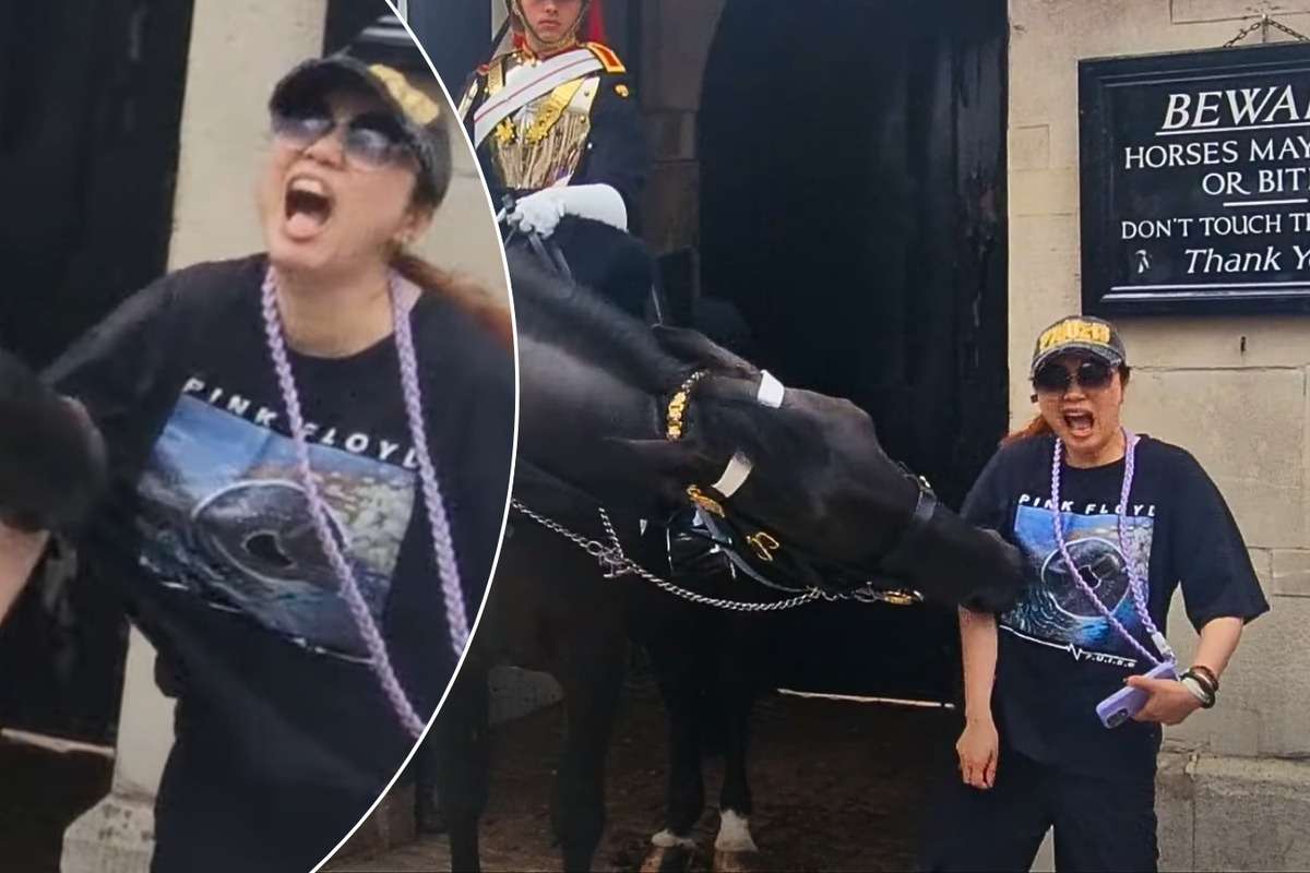 Caballo de la Guardia Real muerde a turista por "acercarse demasiado"