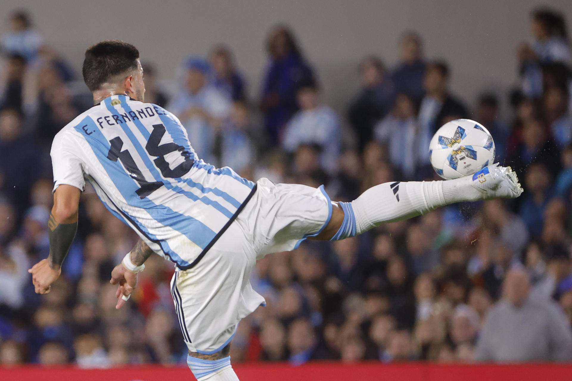 Argentina defiende a la 'Albiceleste' por los polémicos cánticos racistas y homófobos