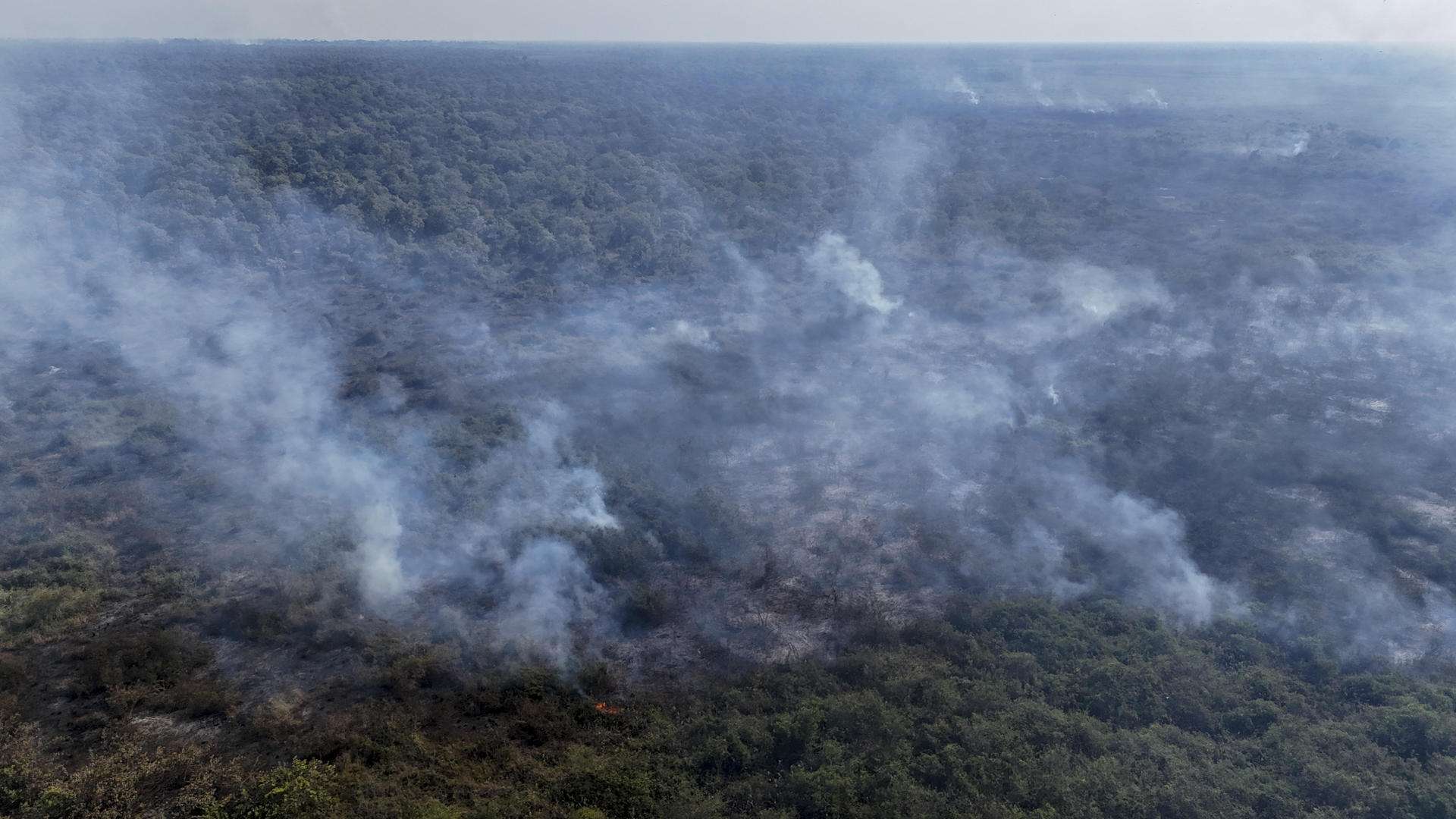 El humo de decenas de incendios en la Amazonía llega hasta el sur de Brasil