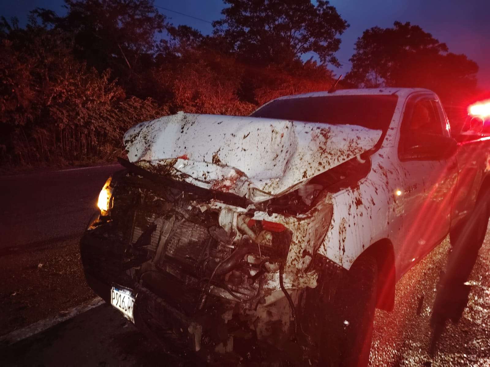 ÚLTIMA HORA | Vehículo choca contra caballo en kilómetro 72.5 de Carretera a El Salvador