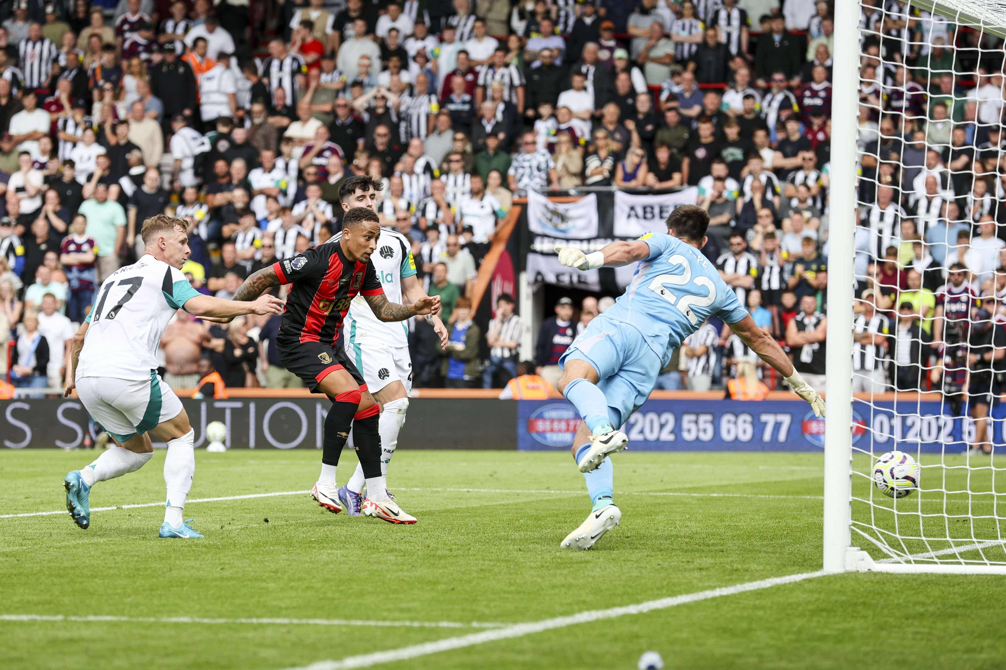 empate del newcastle