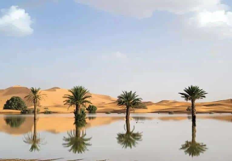 EN FOTOS | Así luce el desierto del Sahara por inundaciones que no ocurrían desde hace 50 años
