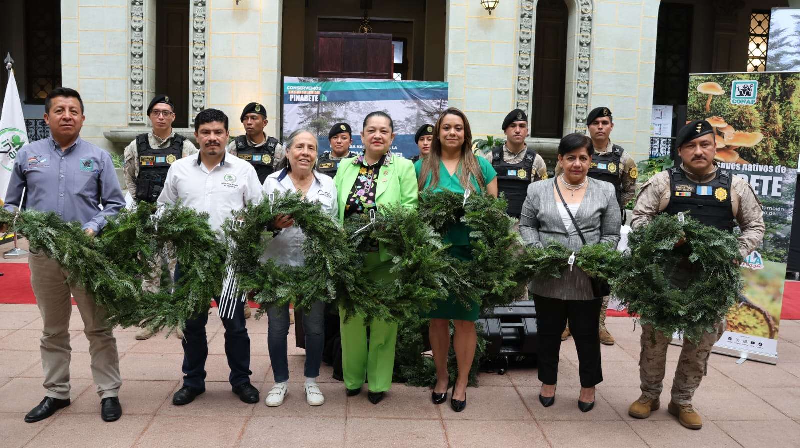 ¡Navidad verde! Guatemala lanza campaña para garantizar la legalidad del pinabete