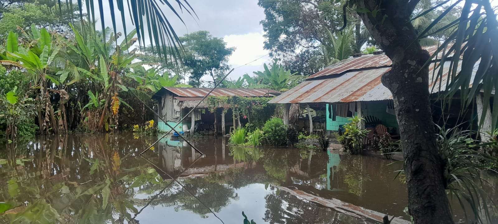 EN FOTOS | Conred reporta inundaciones en Taxisco, Santa Rosa
