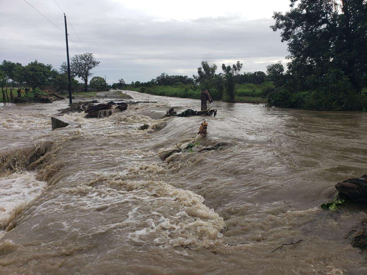 Desbordamiento del río Nuevo causa inundación en carretera de Aldea Cacao Frontera, Izabal