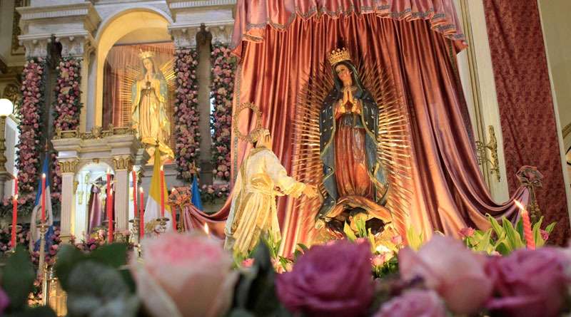 Entre oraciones y peregrinaciones: Así finalizó la celebración de la Virgen de Guadalupe