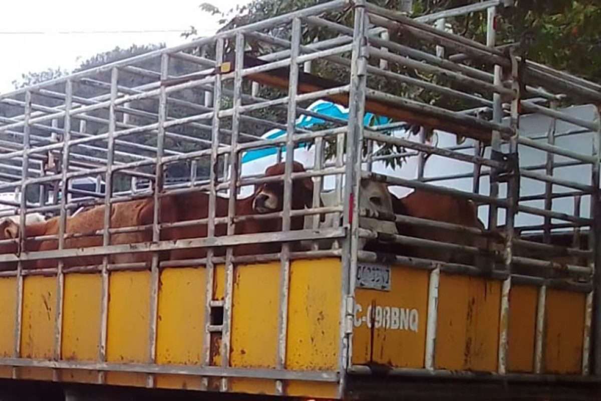 El GBG bajo control ¿Cómo Guatemala logró ser el cuarto país con menos casos en Centroamérica?