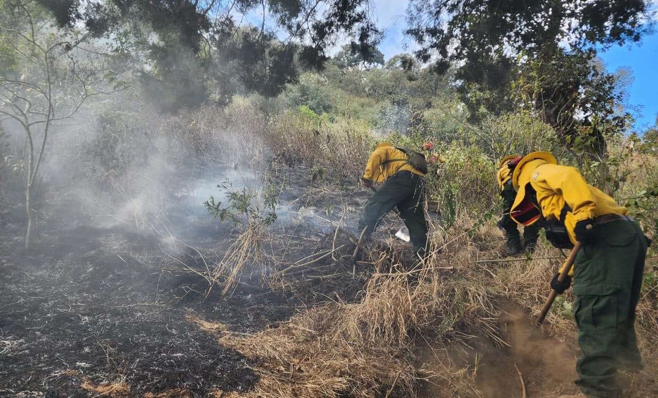 Incendio en Quetzaltenango es controlado tras devastar más de 400 hectáreas