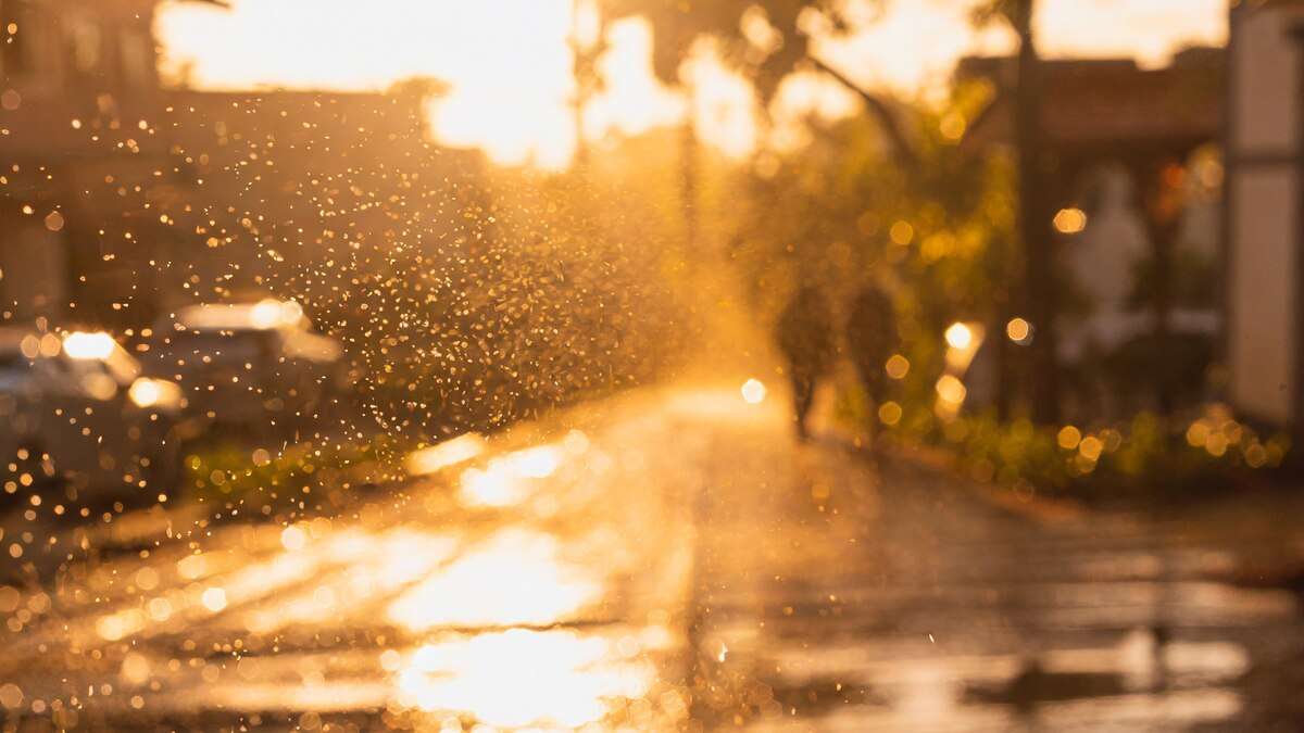 ¡Semana Santa con sombrilla y suéter! Así estará el clima en Guatemala