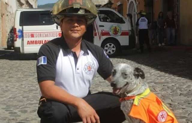 Quién era Javier Castillo, el bombero que murió apagando un incendio