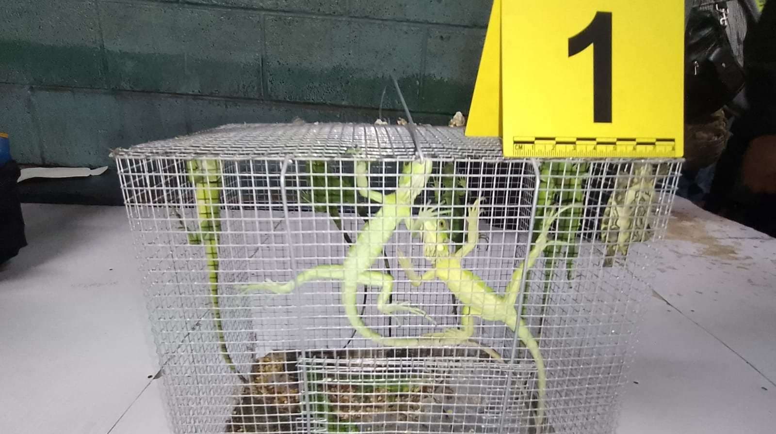 ¿Compras en El Guarda? Esto fue lo que hallaron las autoridades este lunes