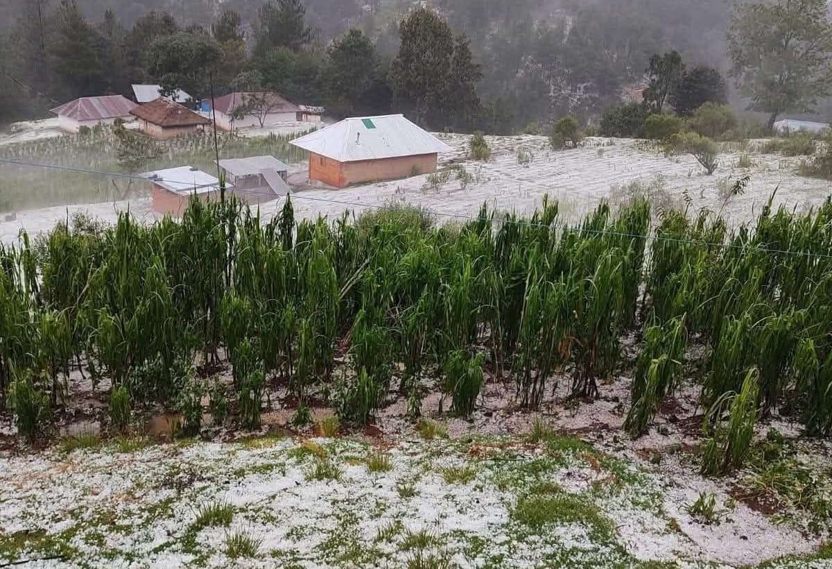 EN FOTOS | Estos son los efectos de la onda del Este 10 en San Marcos