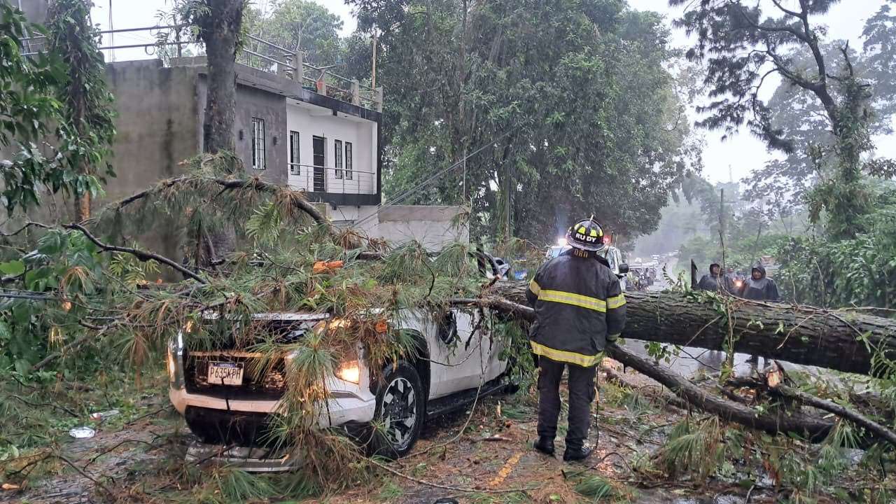 EN IMÁGENES | Conductor sobrevive tras caer árbol sobre su vehículo en Quetzaltenango