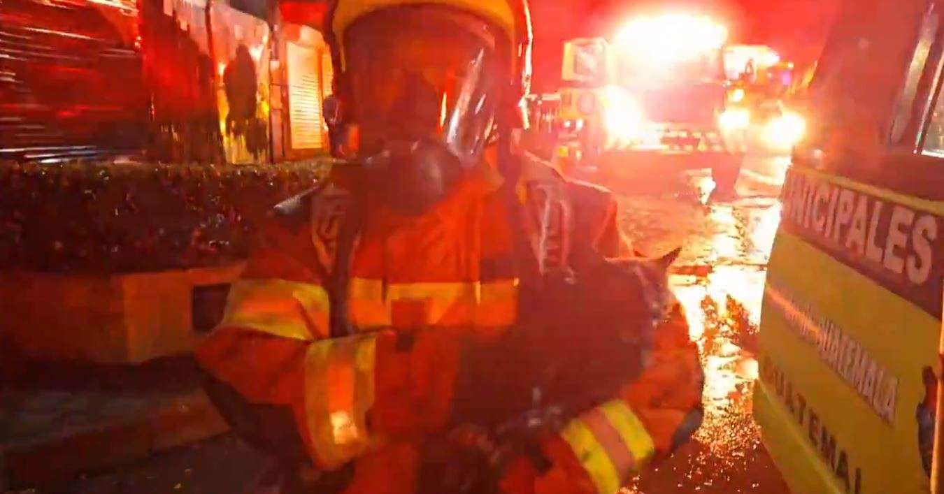EN VIDEO | Esta es la historia de cómo los Bomberos salvaron a varios gatos de un incendio en zona 4