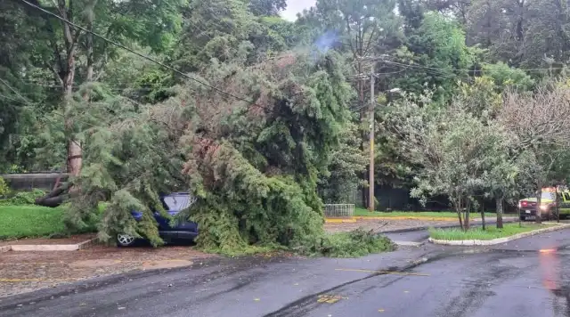 EEGSA activa “Condición de Alerta” por fuertes vientos en el país