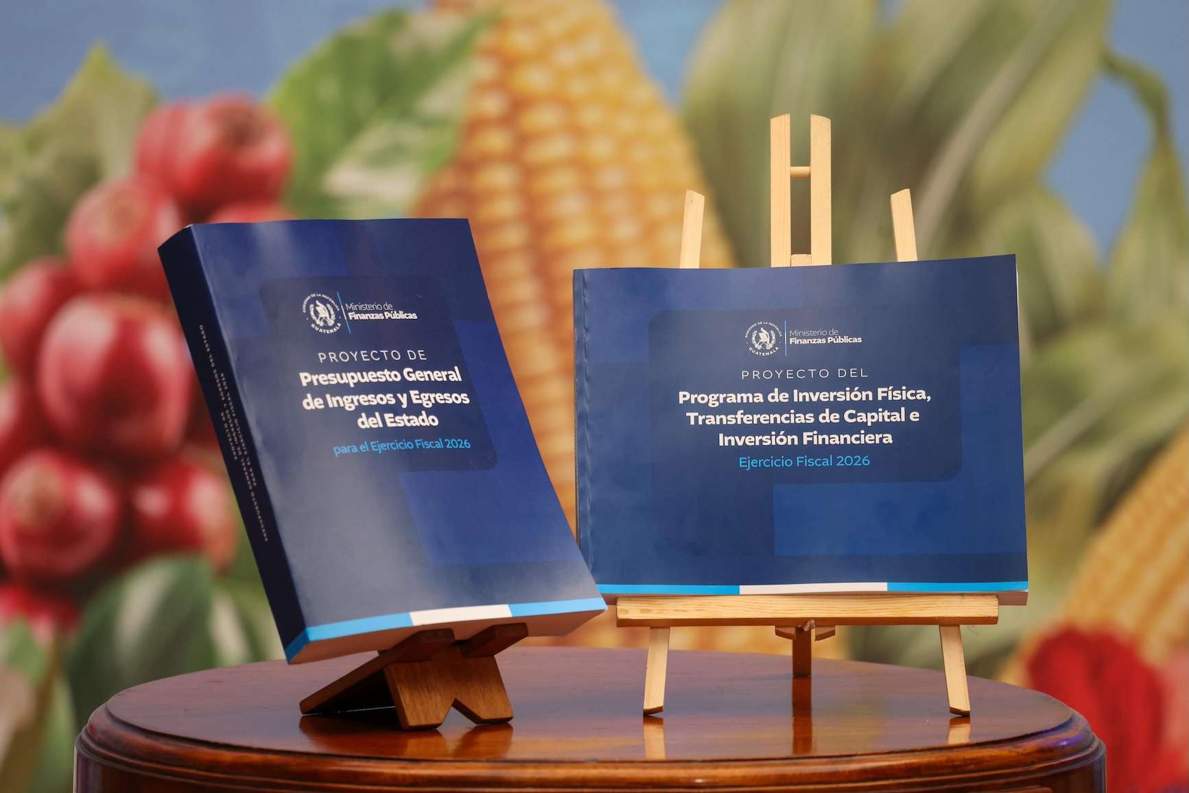 ¿Presupuesto inflado? ICEFI alerta sobre ampliaciones sin sustento técnico para 2026