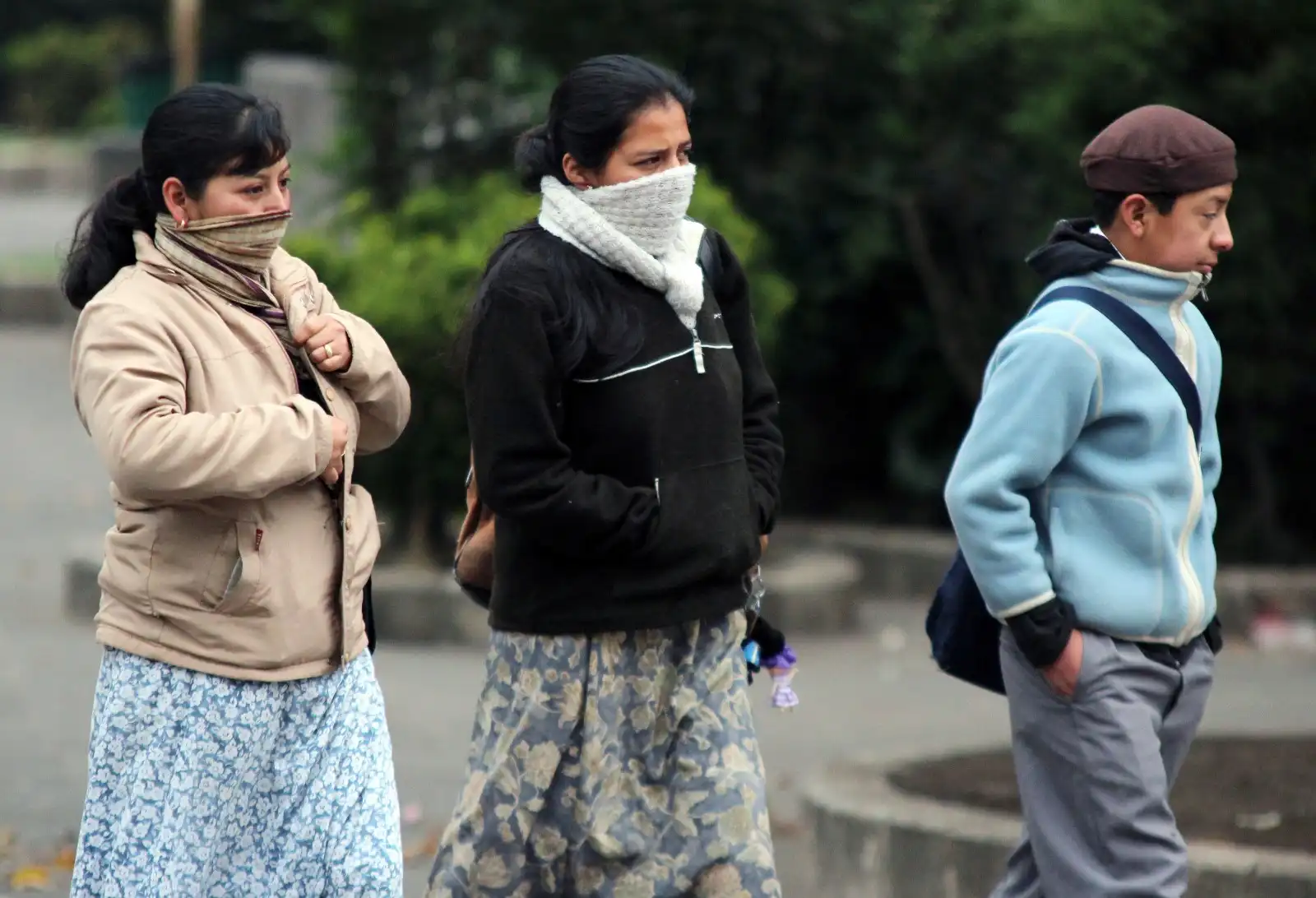 ¿Te encanta el clima frío? Prepárate, porque el viento se intensifica este 12 de noviembre