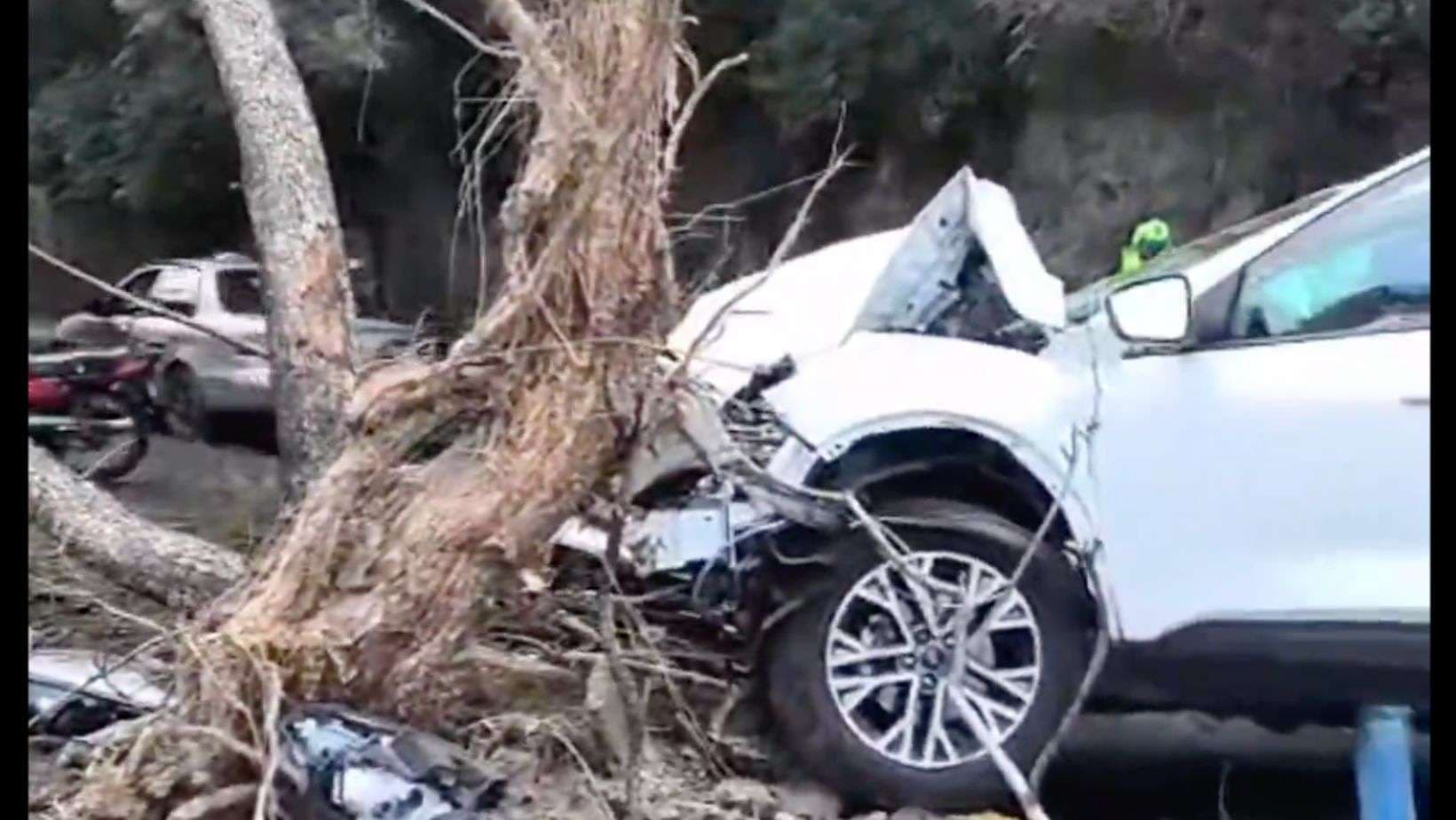 Árbol derribado tras accidente vehicular provoca complicaciones de tránsito