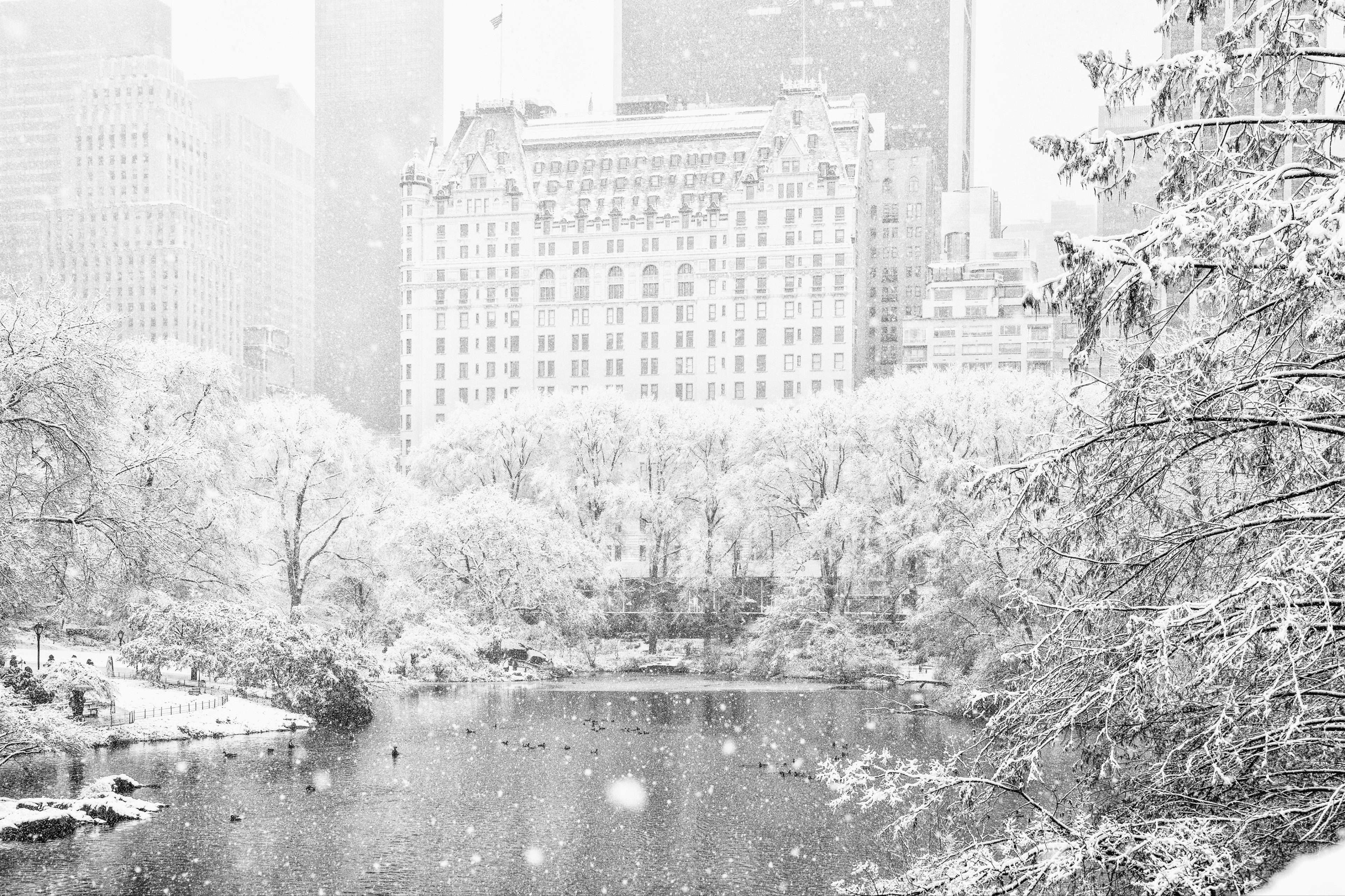 Central Park se cubre de blanco tras la primera nevada de la temporada
