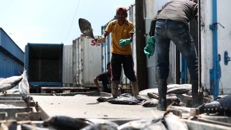 Gobierno anuncia aumento al salario mínimo para 2026 en todas las actividades económicas