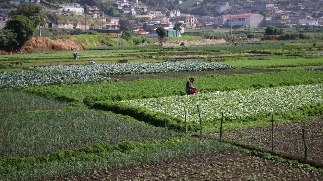 Camagro apoya acción de EE. UU. contra el crimen organizado